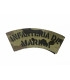 PARCHE INFANTERIA DE MARINA